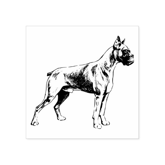 Boxer-Hondenras Rubberstempel (Afrduk)