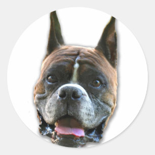 Boxer-hondenstickers Ronde Sticker