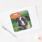 Boxer - Ik poep Vierkante Sticker (Envelop)