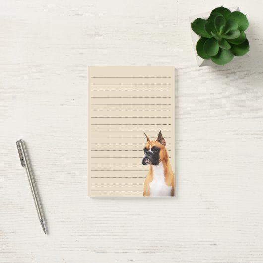 Boxer Illustrated Notes (Kantoor)