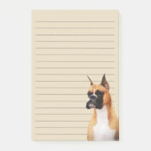 Boxer Illustrated Notes (Voorkant)
