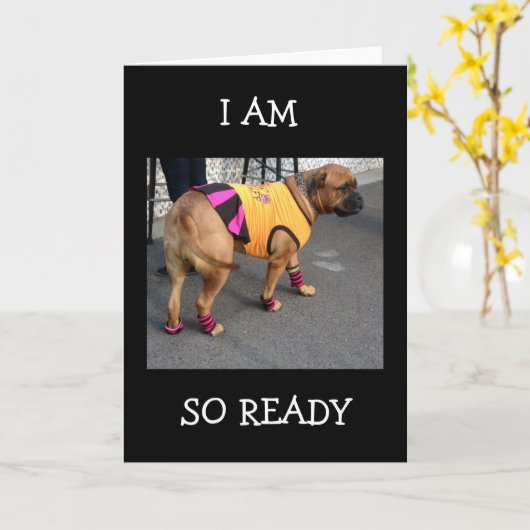 BOXER IS SO READY TO HELP CELEBRATE YOUR BIRTHDAY KAART (Gele Bloem)