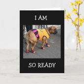 BOXER IS ZO REDEN OM UW BIRTHDAY TE HELPEN KAART (Gele Bloem)