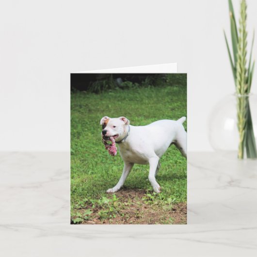 Boxer Kaart (Voorkant)