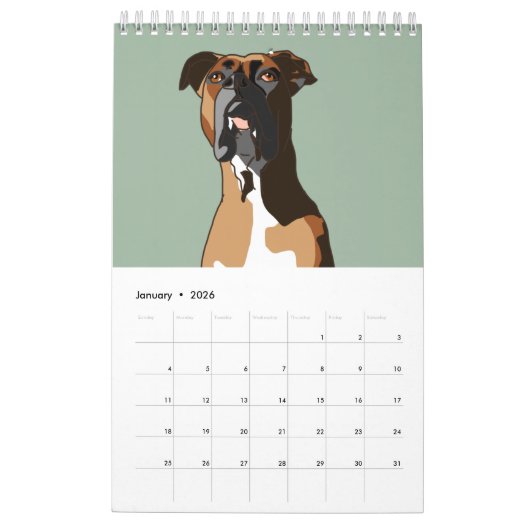 Boxer Kalender (Jan 2026)