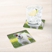 Boxer Kartonnen Onderzetters (Insitu)