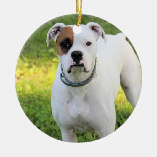 Boxer Keramisch Ornament (Voorkant)