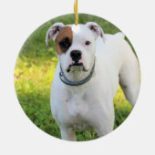 Boxer Keramisch Ornament (Achterkant)