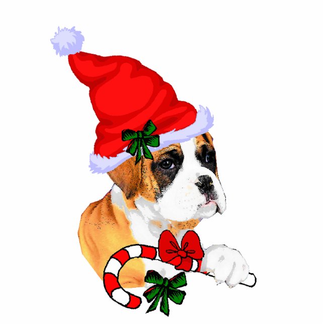 Boxer Kerst Cadeaus Ornament Fotobeeldje Ornament (Voorkant)