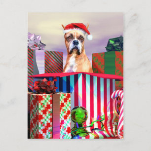 Boxer-kerstverrassing Feestdagenkaart