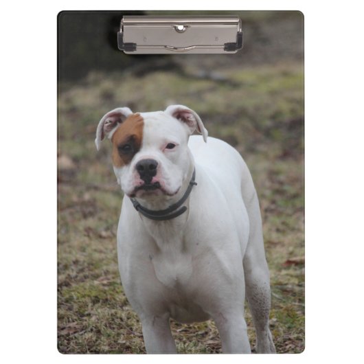 Boxer Klembord (Voorkant)