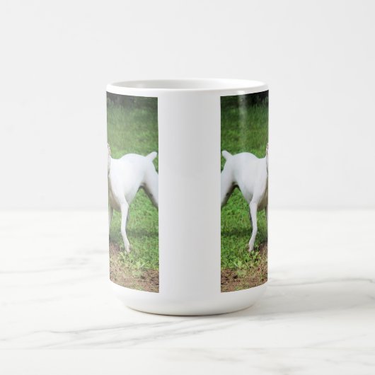 Boxer Koffiemok (Center)