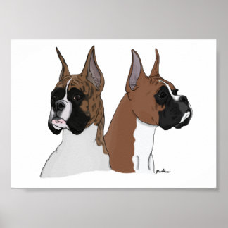 Boxer-koppen in digitale kunst op Poster