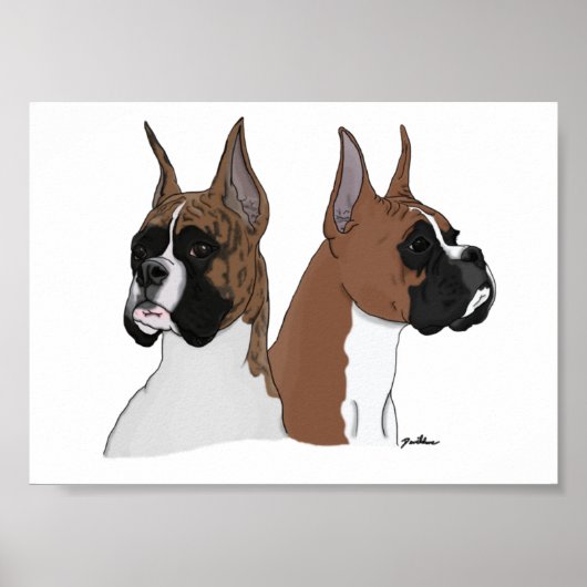 Boxer-koppen in digitale kunst op Poster (Voorkant)
