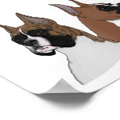 Boxer-koppen in digitale kunst op Poster (Hoek)