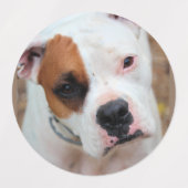 Boxer Labels (Design 2)