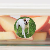 Boxer Labels (Aangebracht)