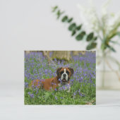 Boxer Laying in Bluebells Briefkaart (Staand voorkant)