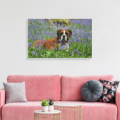 Boxer Laying in Bluebells Canvas Afdruk (Insitu (Woonkamer))