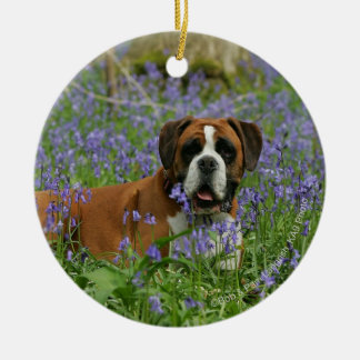 Boxer Laying in Bluebells Keramisch Ornament