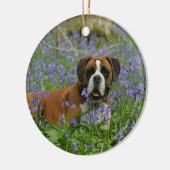 Boxer Laying in Bluebells Keramisch Ornament (Links)