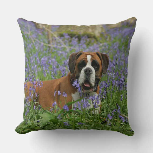 Boxer Laying in Bluebells Kussen (Voorkant)