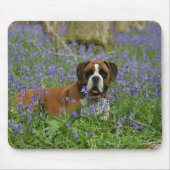 Boxer Laying in Bluebells Muismat (Voorkant)