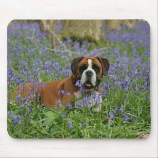 Boxer Laying in Bluebells Muismat