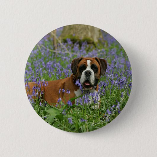 Boxer Laying in Bluebells Ronde Button 5,7 Cm (Voorkant)