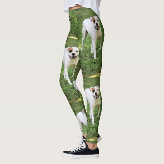 Boxer Leggings (Links)