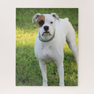 Boxer Legpuzzel