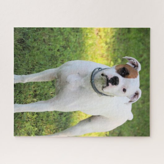 Boxer Legpuzzel (Horizontaal)