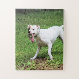 Boxer Legpuzzel