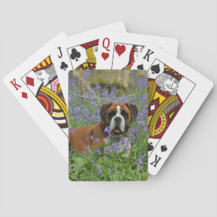 Boxer Liggend in Blauwe Bloemen Pokerkaarten
