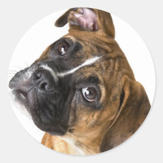 Boxer Love Ronde Sticker