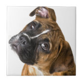 Boxer Love Tegeltje (Voorkant)