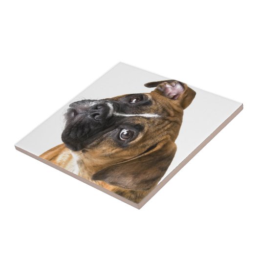 Boxer Love Tegeltje (Zijkant)