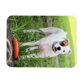Boxer Magneet (Horizontaal)