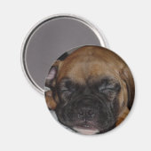 Boxer Magnet (Voorkant / Achterkant)