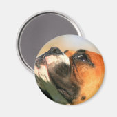Boxer magnet (Voorkant / Achterkant)