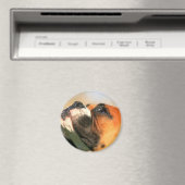 Boxer magnet (Insitu (Vaatwasser))