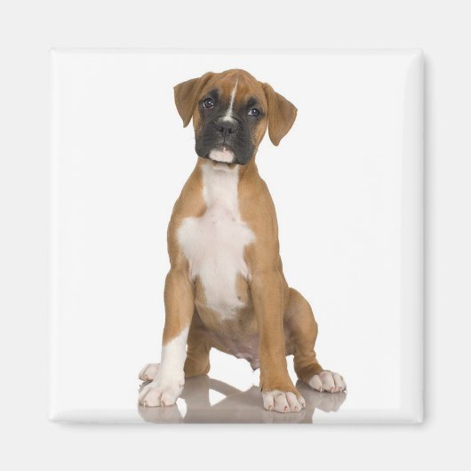 Boxer Magnet (Voorkant)