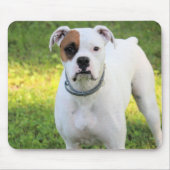 Boxer Muismat (Voorkant)