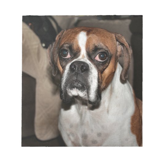 Boxer Notitieblok (Voorkant)