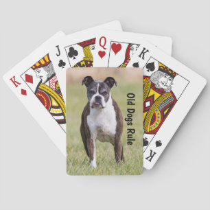 Boxer Old Dogs Rule Pokerkaarten