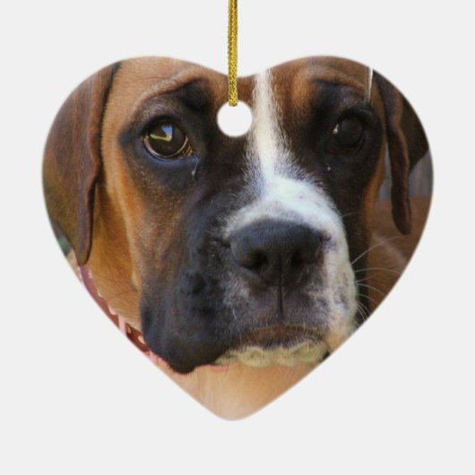 Boxer Ornament (Achterkant)