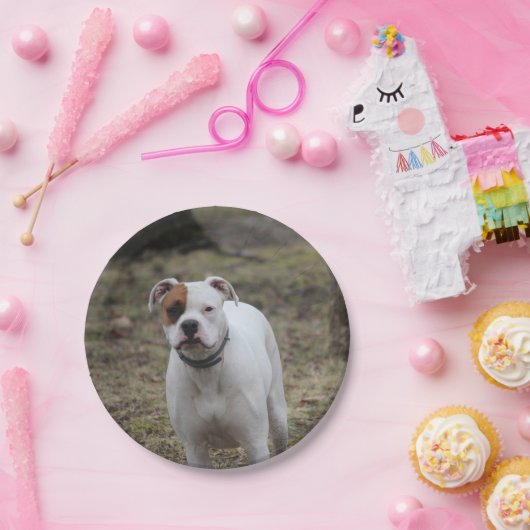 Boxer Papieren Bordje (Feest)