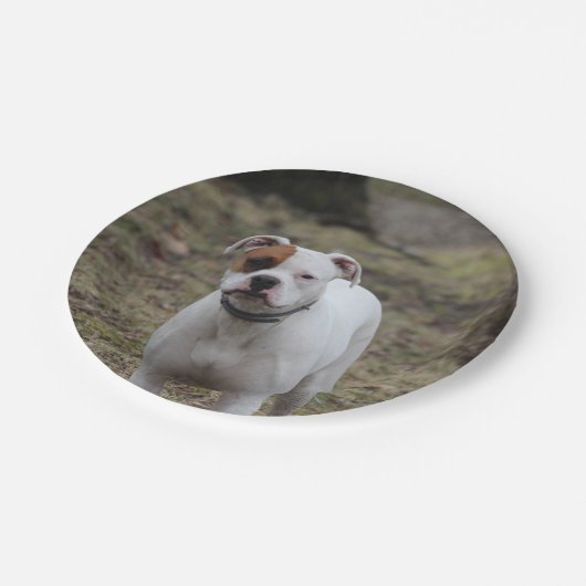 Boxer Papieren Bordje (Gekanteld)