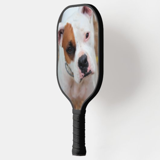 Boxer Pickleball Paddle (Links)