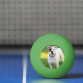 Boxer Pingpongbal (Net)